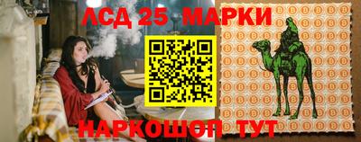 шишки Краснодар