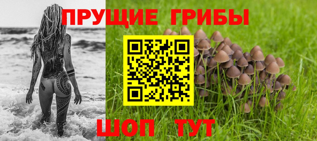 Псилоцибиновые грибы MAGIC MUSHROOMS Кострома